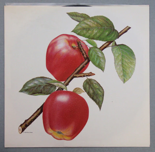 Rolling Stones* - Undercover (LP, Album, SP ) (Near Mint (NM or M-)) - Image 5