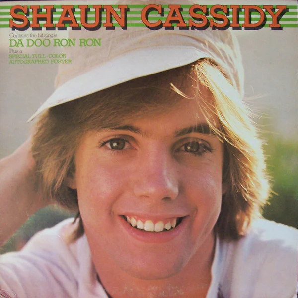 Shaun Cassidy - Shaun Cassidy (LP, Album, Win) (Very Good (VG))