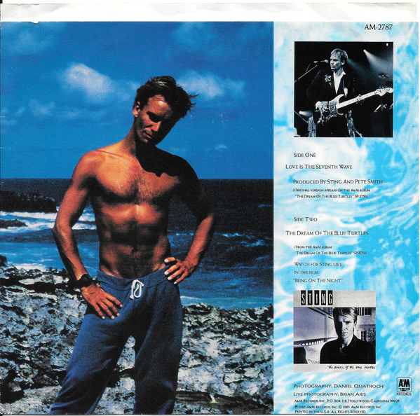 Sting - Love Is The Seventh Wave (Special Single Version) (7", Single) (Very Good Plus (VG+)) - Image 2