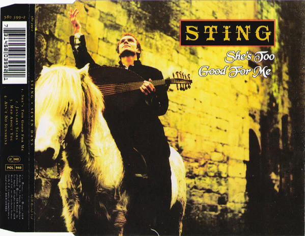 Sting - She's Too Good For Me (CD, Maxi) (Very Good Plus (VG+)) - Image 2