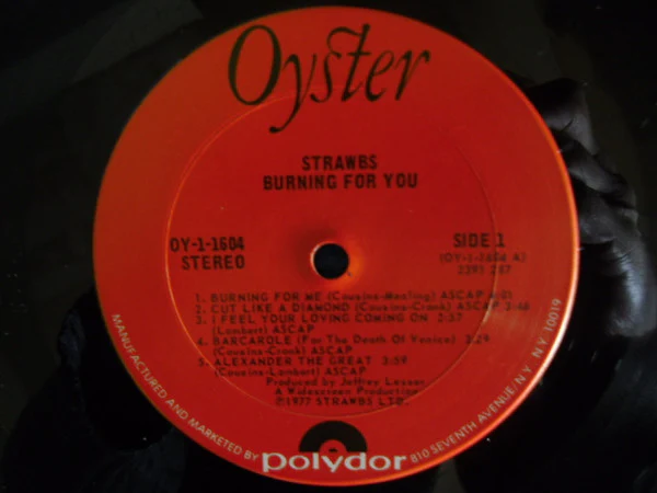 Strawbs - Burning For You (LP, Album, Pit) (Near Mint (NM or M-)) - Image 3