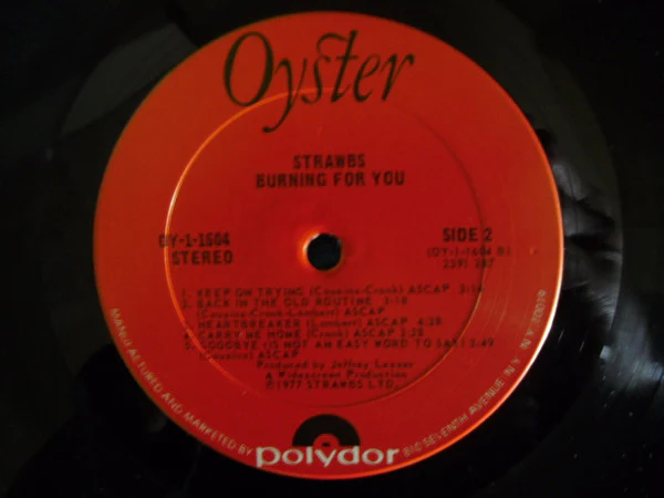 Strawbs - Burning For You (LP, Album, Pit) (Near Mint (NM or M-)) - Image 4
