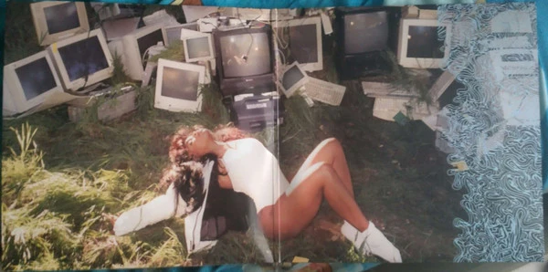SZA  - Ctrl (2xLP, Album, RE, RP, Gre) (Near Mint (NM or M-)) - Image 3