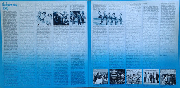 The Beach Boys - Beach Boys Bests (40 Greatest Hits) (2xLP, Comp) (Near Mint (NM or M-)) - Image 3