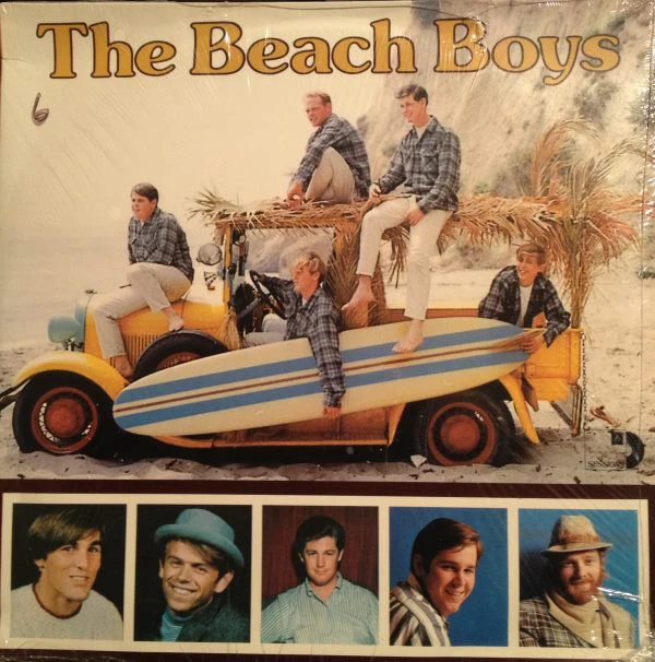 The Beach Boys - The Beach Boys (2xLP, Comp) (Very Good Plus (VG+))