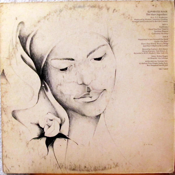 The Main Ingredient - Euphrates River (LP, Album, Ind) (Near Mint (NM or M-)) - Image 2