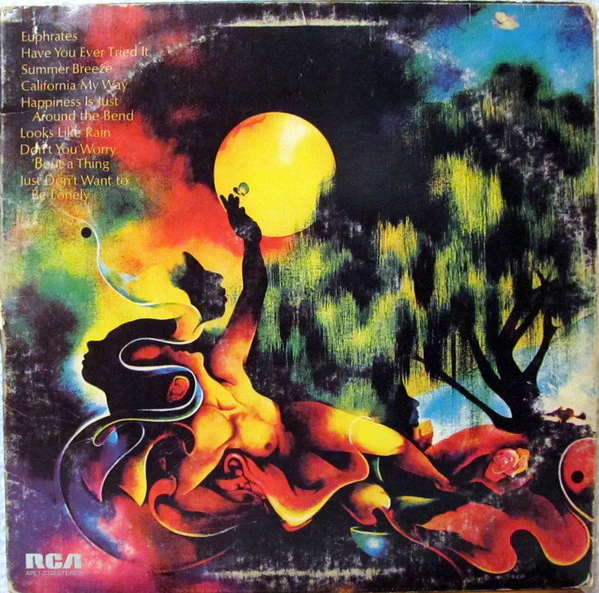 The Main Ingredient - Euphrates River (LP, Album, Ind) (Near Mint (NM or M-)) - Image 4