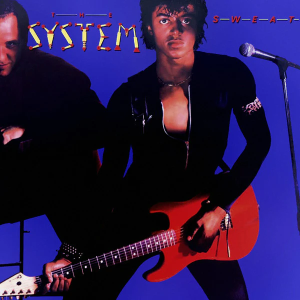 The System - Sweat (LP, Album, Spe) (Very Good Plus (VG+))