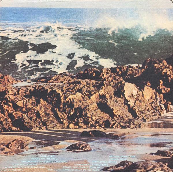 The Turtles - Turtle Soup (LP, Album, RP, Pit) (Near Mint (NM or M-)) - Image 4
