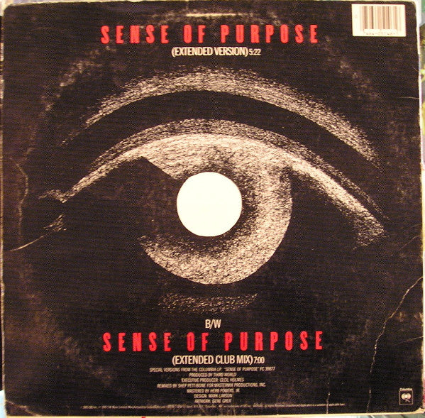Third World - Sense Of Purpose (12", Single) (Near Mint (NM or M-)) - Image 2