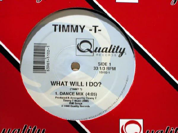 Timmy T - What Will I Do? (12") (Near Mint (NM or M-)) - Image 2