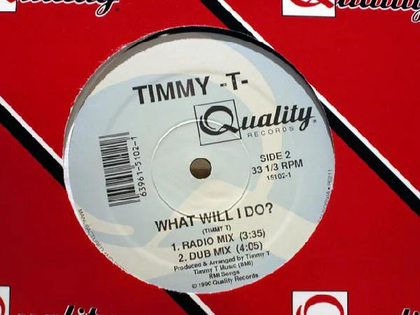 Timmy T - What Will I Do? (12") (Near Mint (NM or M-)) - Image 3