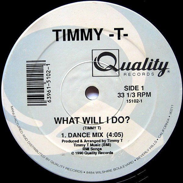 Timmy T - What Will I Do? (12") (Near Mint (NM or M-)) - Image 4