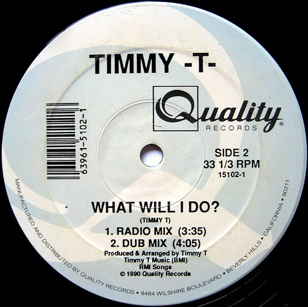 Timmy T - What Will I Do? (12") (Near Mint (NM or M-)) - Image 5