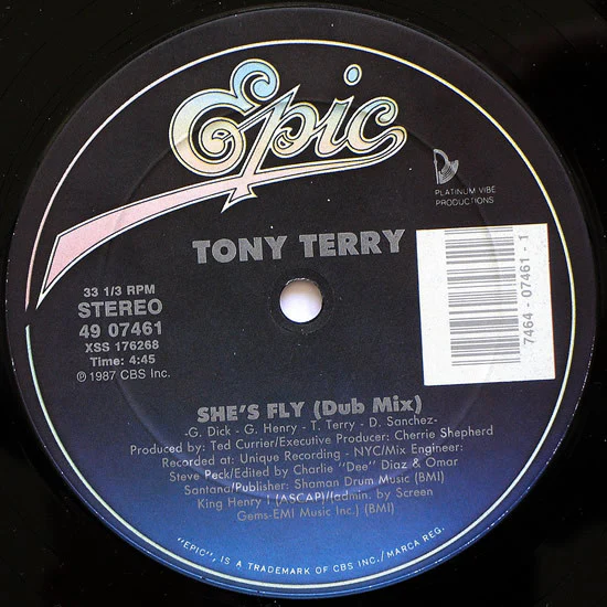 Tony Terry - She's Fly (12") (Mint (M)) - Image 2