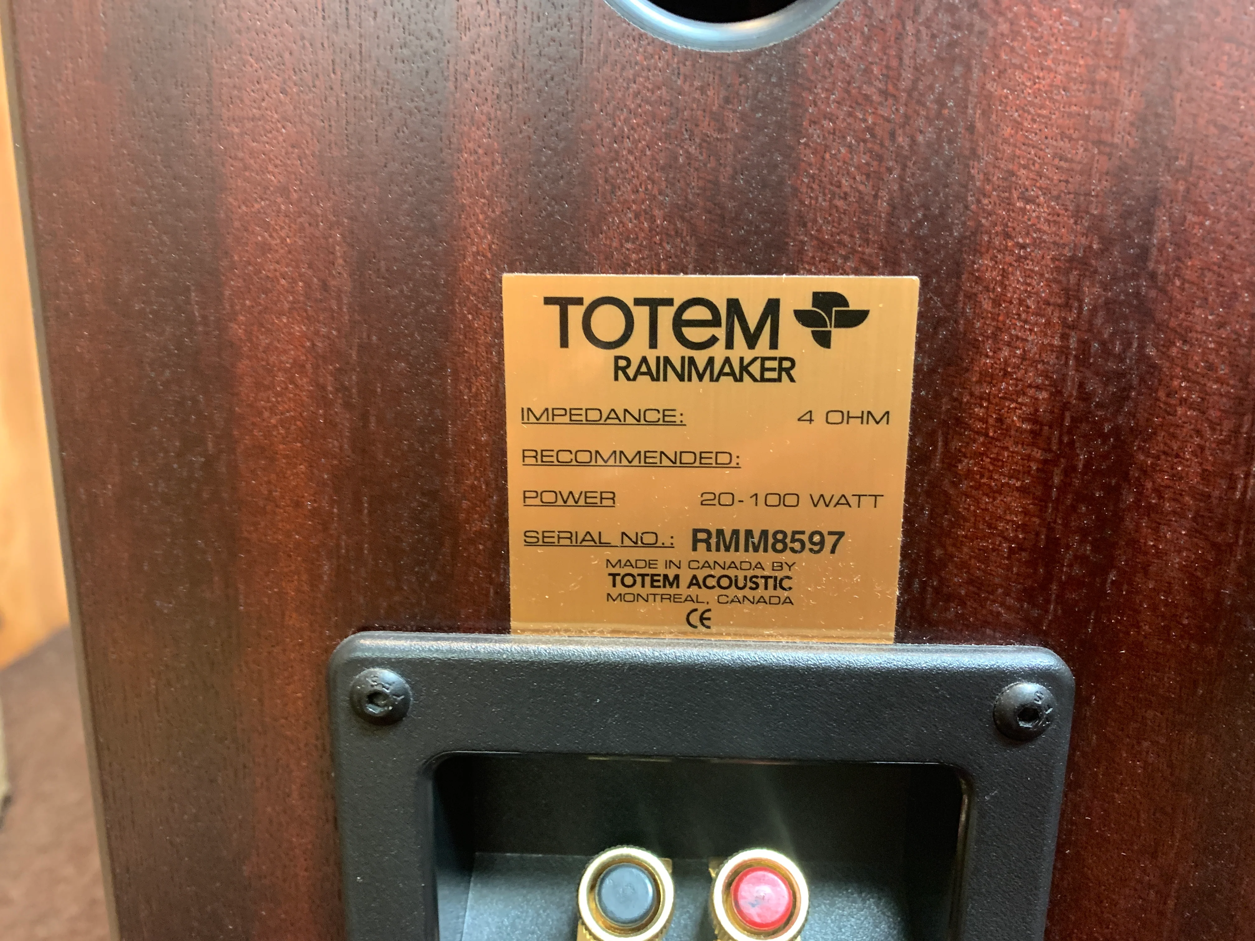 Totem Rainmaker Speakers - Image 6