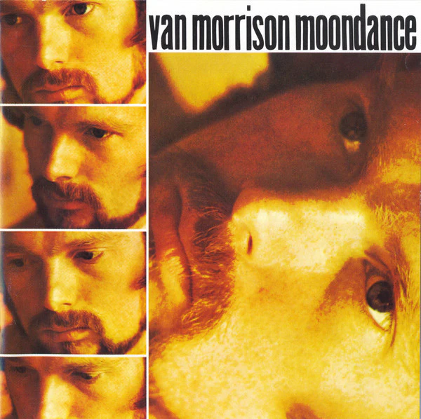 Van Morrison - Moondance (CD, Album, RE, RP, Cin) (Near Mint (NM or M-))