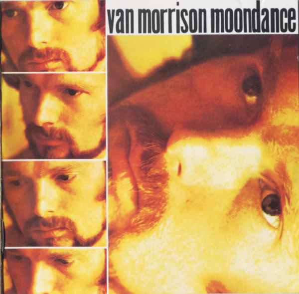 Van Morrison - Moondance (CD, Album, RE, RP) (Near Mint (NM or M-))