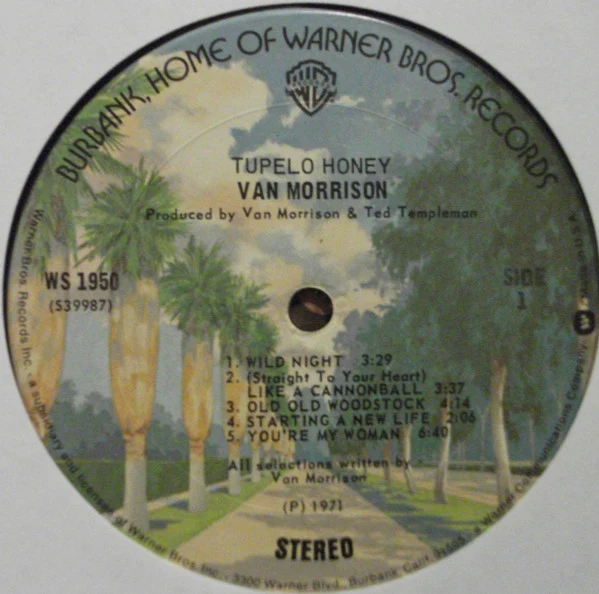 Van Morrison - Tupelo Honey (LP, Album, RE, Ter) (Very Good (VG)) - Image 4