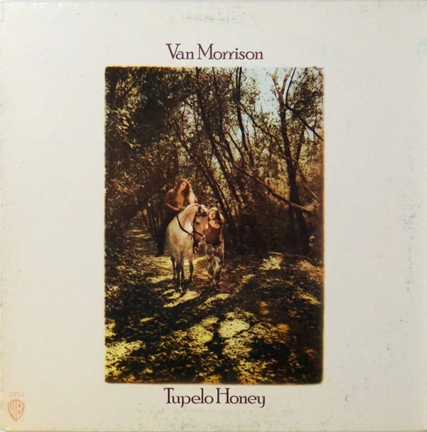 Van Morrison - Tupelo Honey (LP, Album, RE, Win) (Very Good (VG))