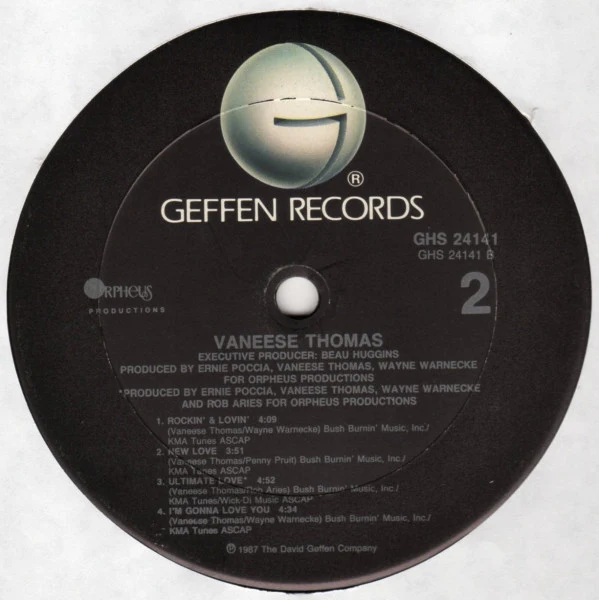 Vaneese Thomas - Vaneese (LP, Album) (Mint (M)) - Image 4