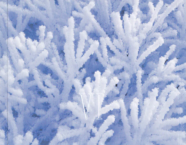 Various - A Winter's Solstice VI (A Windham Hill Sampler) (CD, Smplr) (Very Good Plus (VG+)) - Image 3