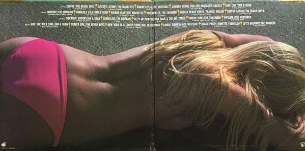 Various - Golden Summer (2xLP, Comp, All) (Near Mint (NM or M-)) - Image 2