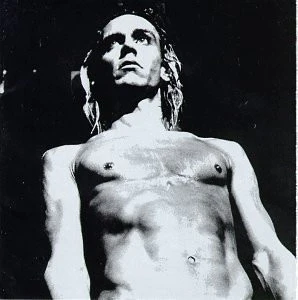 Various - We Will Fall: The Iggy Pop Tribute (CD, Album, Comp) (Very Good Plus (VG+))