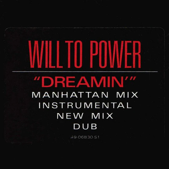Will To Power - Dreamin' (12") (Very Good Plus (VG+)) - Image 4