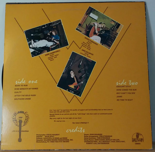 Wind And Wood - The Limo Is Waiting... (LP, Album) (Very Good Plus (VG+)) - Image 2