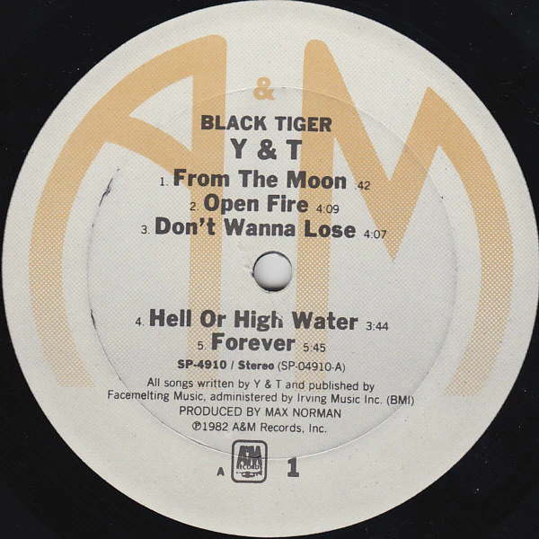 Y & T - Black Tiger (LP, Album) (Very Good (VG)) - Image 3